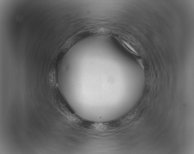 X0000075390425200610061910