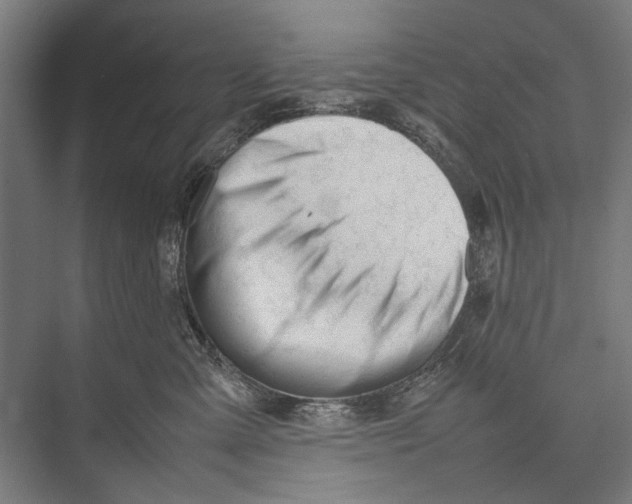 X0000075390427200610061909