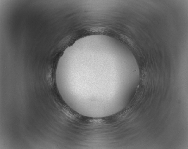 X0000075390428200610061909