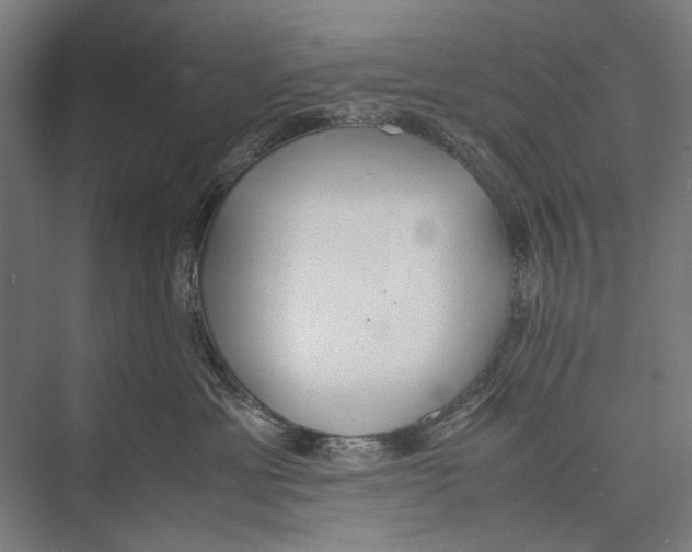 X0000075390429200610061909