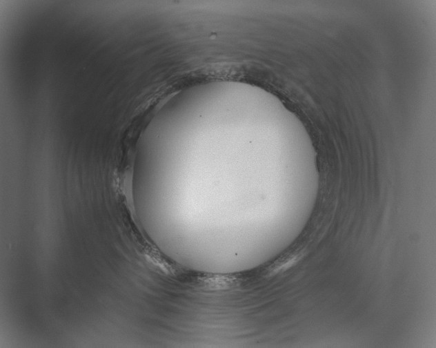 X0000075390432200610061909