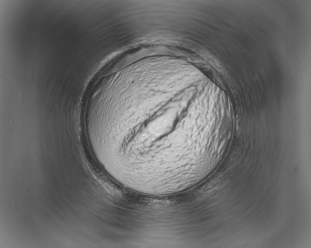 X0000075390438200610061909