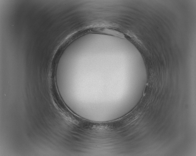 X0000075390440200610061909