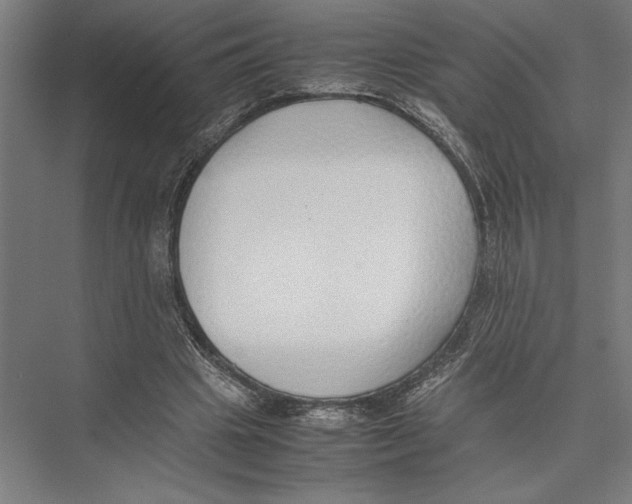 X0000075390441200610061909