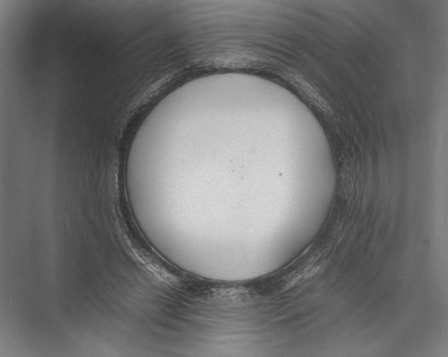 X0000075390446200610061909