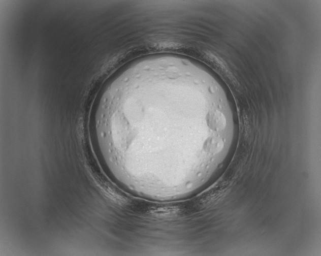X0000075390447200610061909