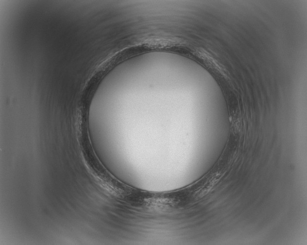 X0000075390448200610061909