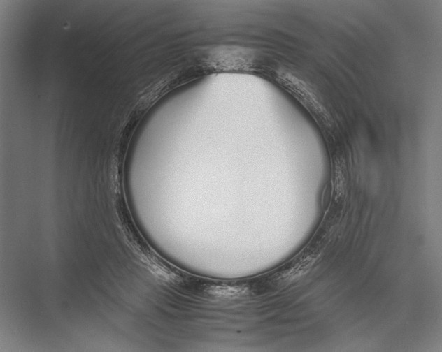 X0000075390453200610061909