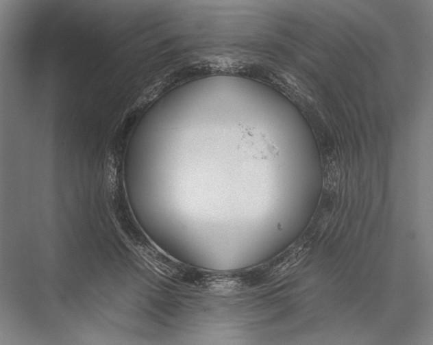 X0000075390456200610061909
