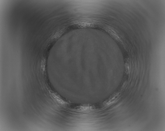 X0000075390458200610061909