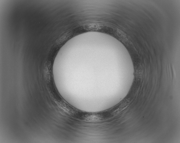 X0000075390460200610061909