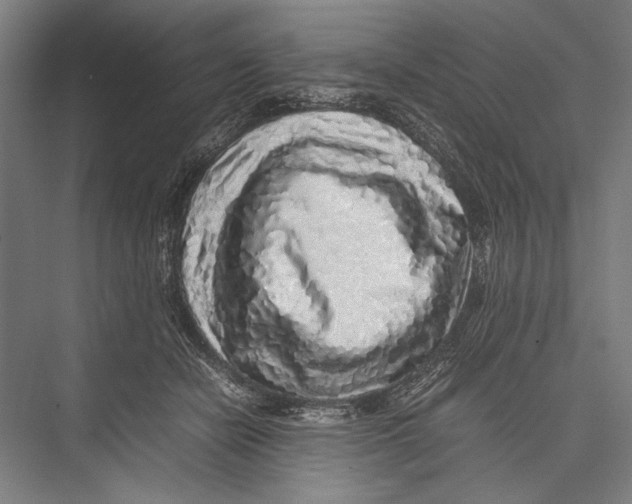 X0000075390462200610061909