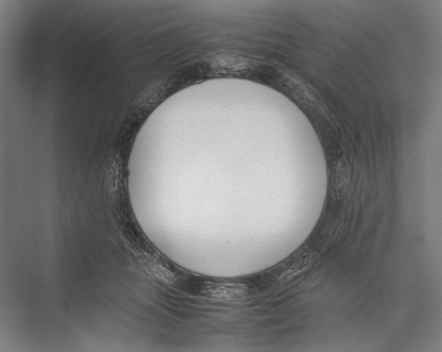 X0000075390463200610061909
