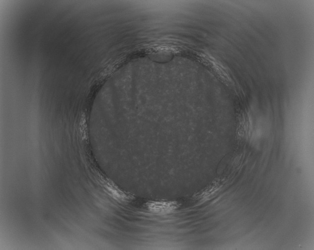 X0000075390465200610061909