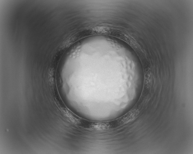 X0000075390466200610061909