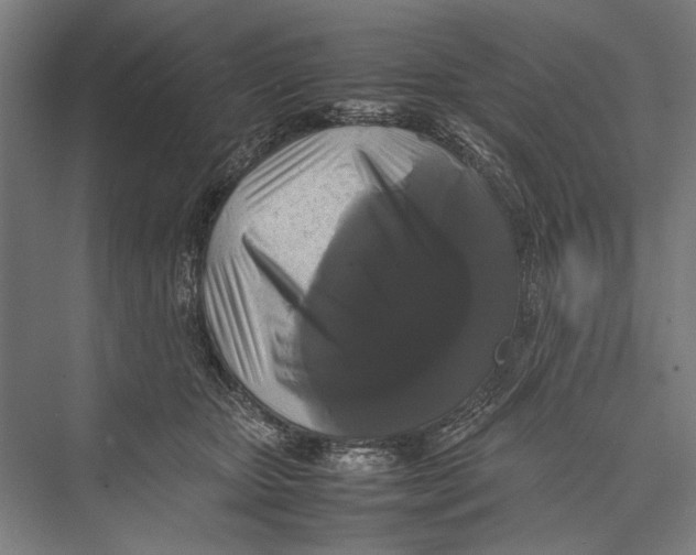 X0000075390467200610061909