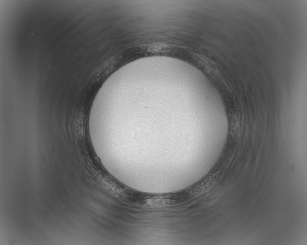X0000075390470200610061909