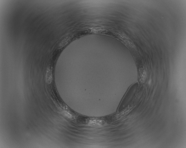 X0000075390471200610061909
