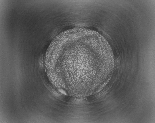 X0000075390479200610061909