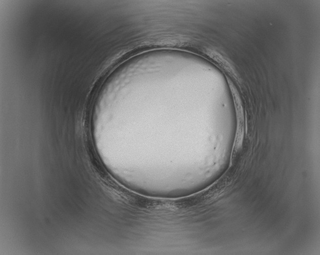 X0000075390483200610061909