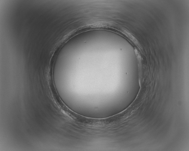 X0000075390485200610061908