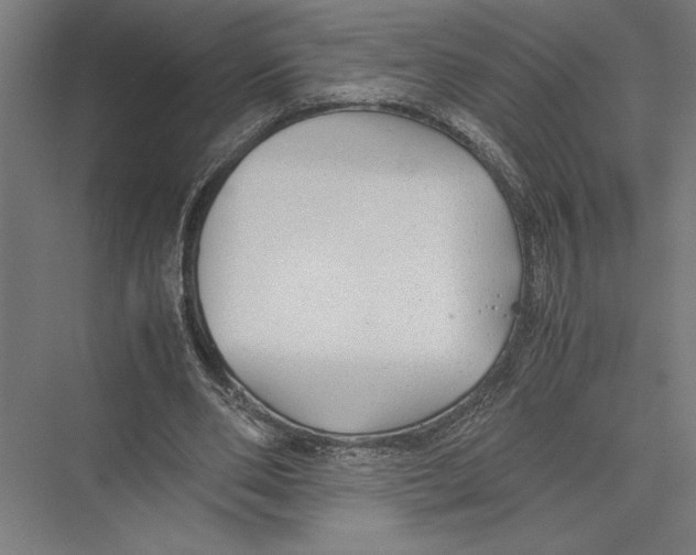 X0000075390486200610061908