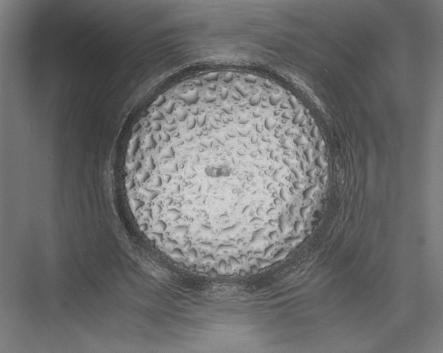 X0000075390487200610061908