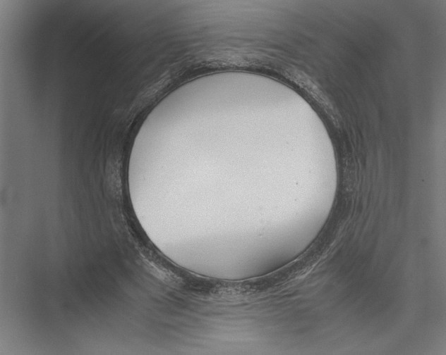 X0000075390489200610061908