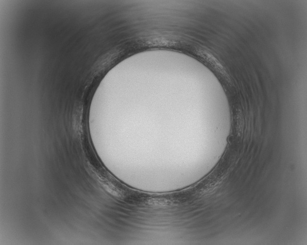 X0000075390490200610061908