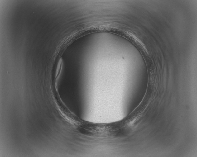 X0000075390493200610061908