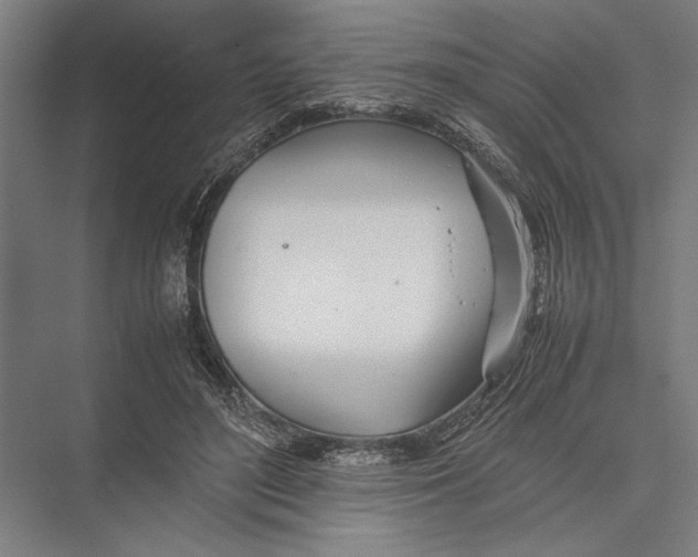 X0000075390500200610061908