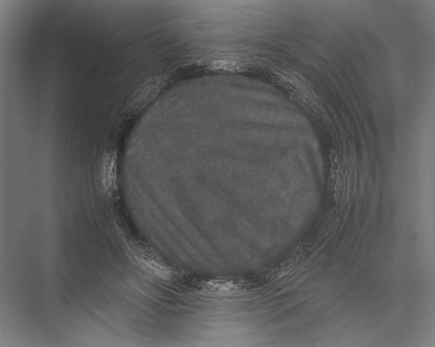 X0000075390502200610061908