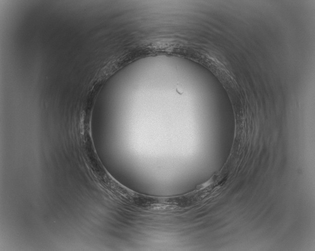 X0000075390504200610061908