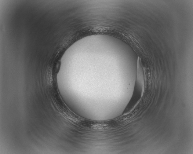 X0000075390508200610061908