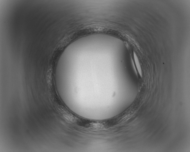 X0000075390509200610061908
