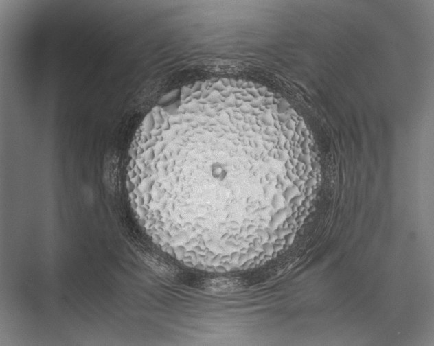 X0000075390511200610061908
