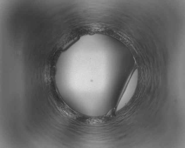 X0000075390512200610061908