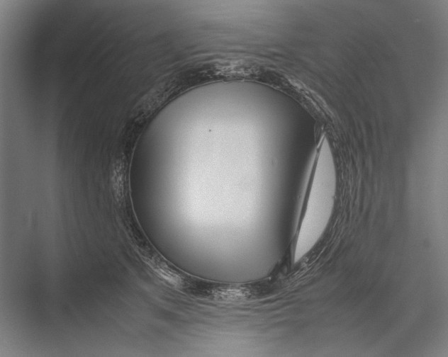 X0000075390513200610061908