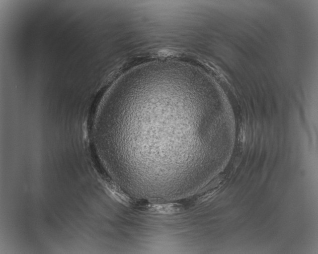 X0000075390524200610061908
