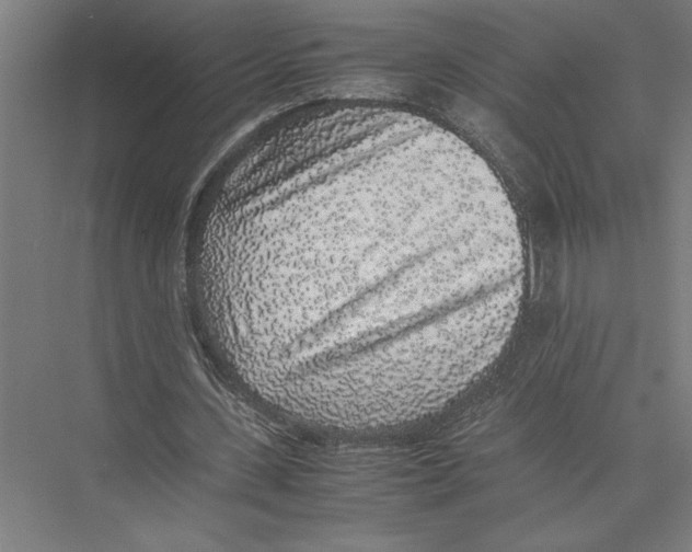 X0000075390531200610061907
