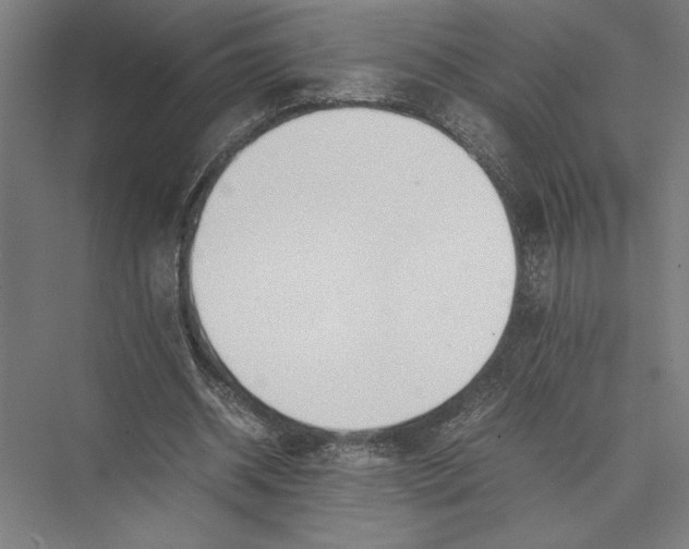 X0000075390534200610061907