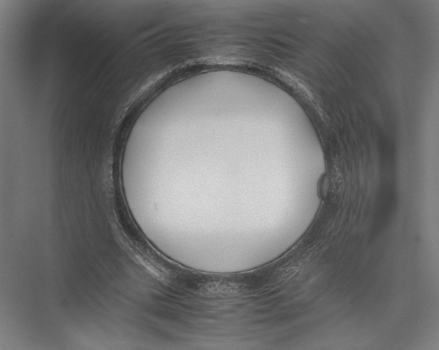 X0000075390535200610061907