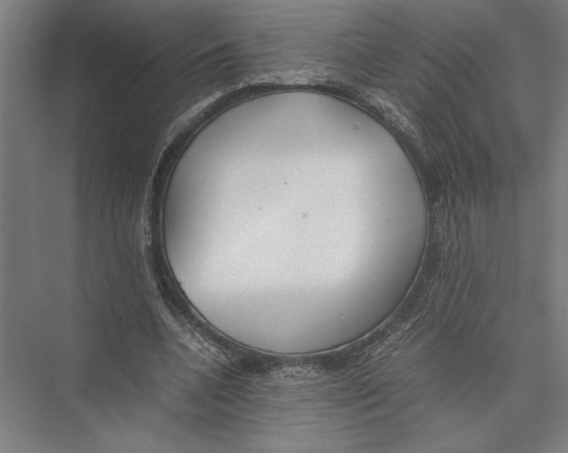 X0000075390536200610061907