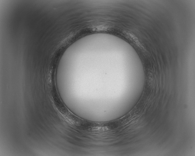X0000075390543200610061907