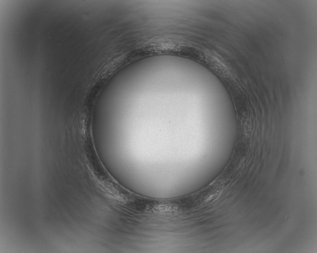 X0000075390546200610061907