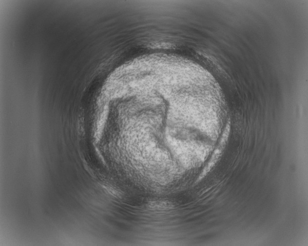 X0000075390547200610061907