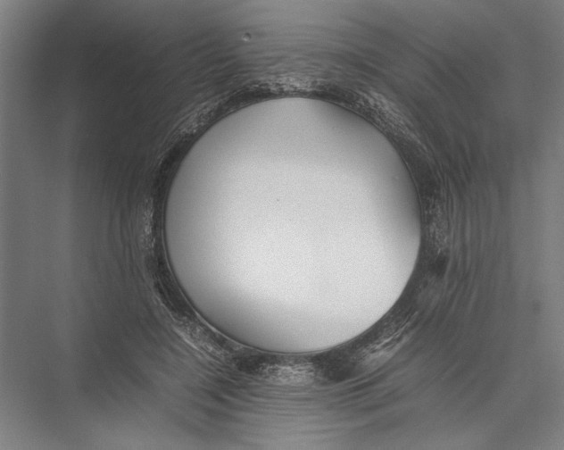 X0000075390548200610061907