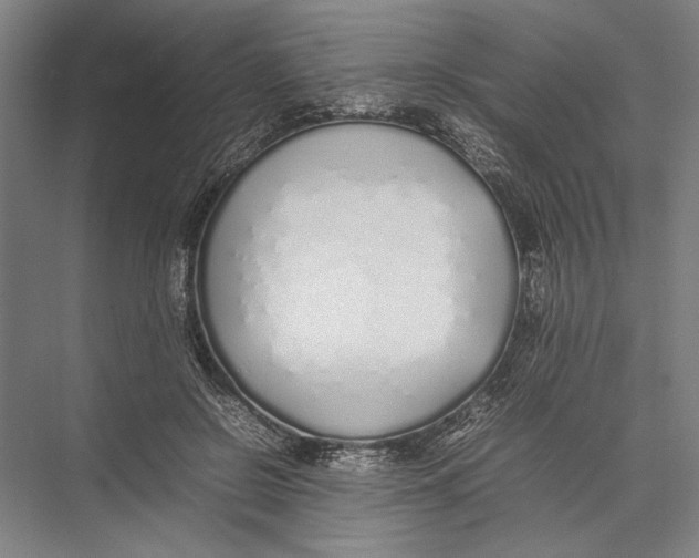 X0000075390550200610061907