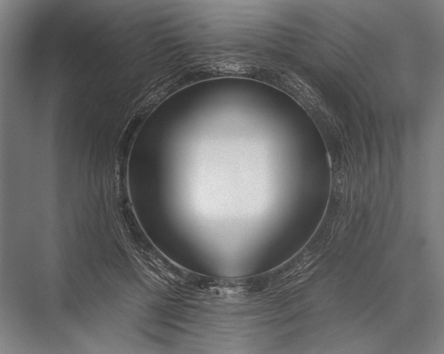 X0000075390552200610061907