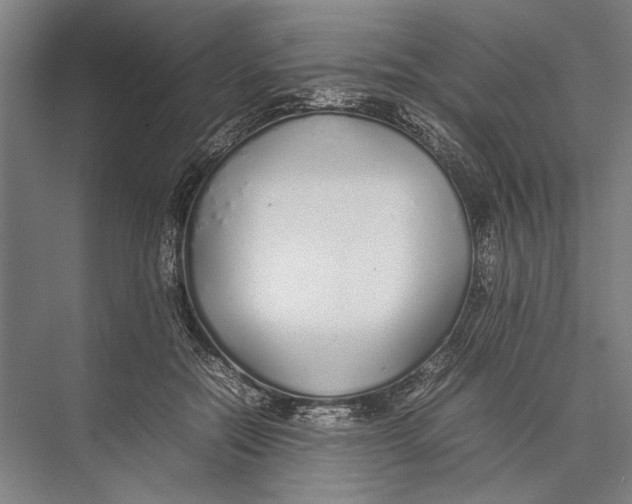X0000075390554200610061907